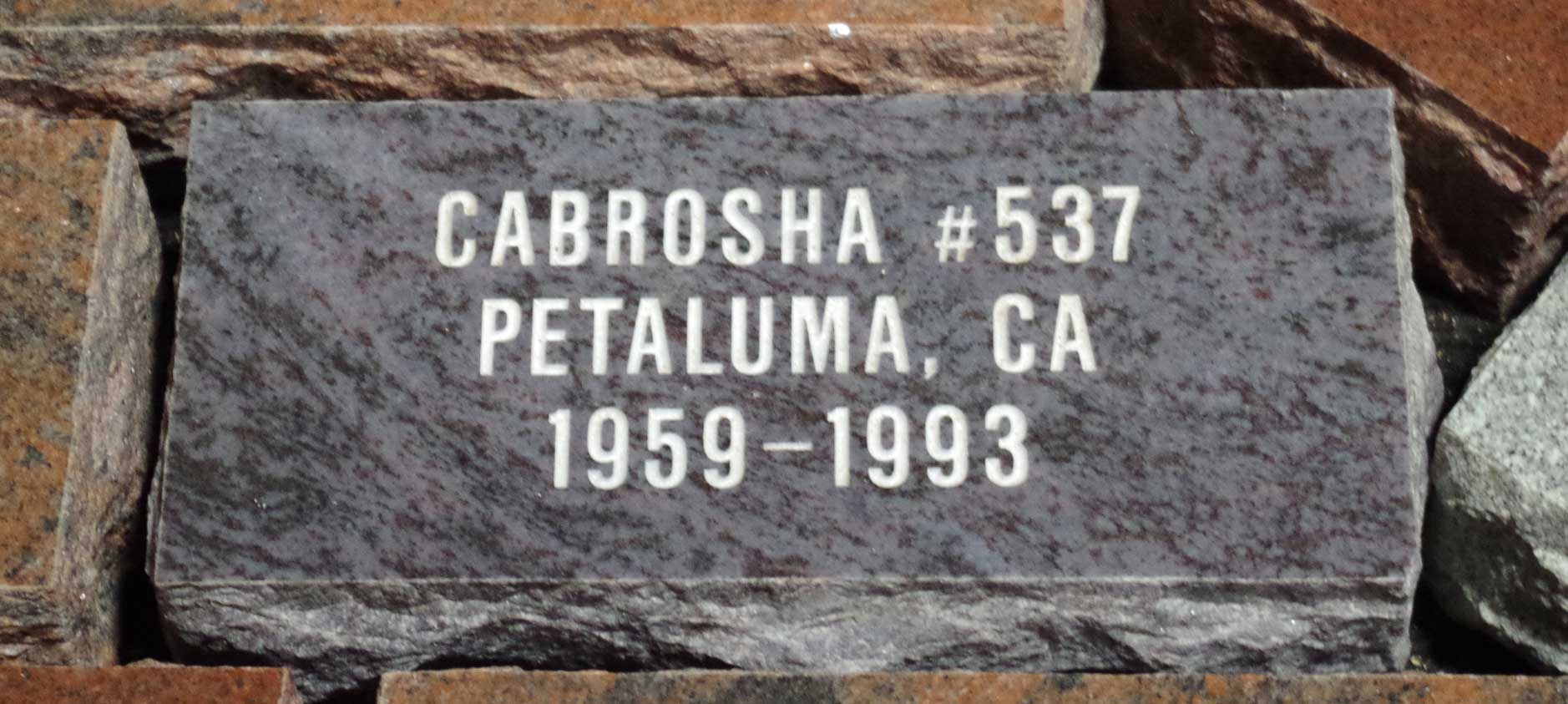 Cabrosha Legacy Rock as displayed at NOAC 2015 Cabrosha Rock